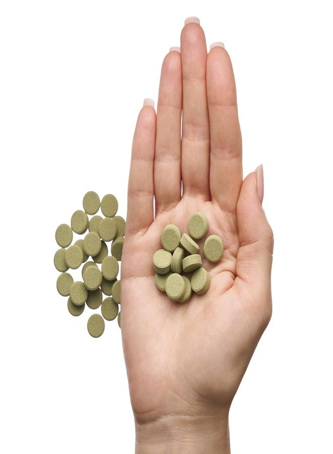 Plecoceramics أقراص Plecoceramics Bottom Feeder، غذاء عالمي لأسماك الزينة، والسلاحف، والأسماك الذهبية، وسمك السلور - رقائق بروتين سبيرولينا (100 غرام) - Image 5